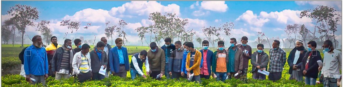 Hi Tech Polytechnic Institute - Slide